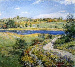 Automne en bordure de route Automne en bordure de route