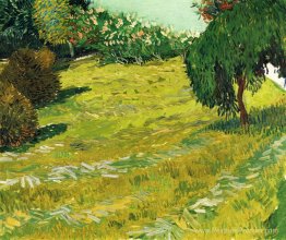 Jardin avec saule en pleurant Jardin avec saule en pleurant