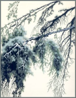 Branche de pin Branche de pin