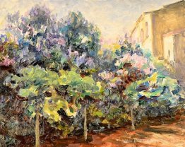 Jardin cișmigiu Jardin cișmigiu