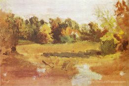 Paysage Paysage