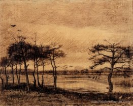 Pin dans le fen Pin dans le fen