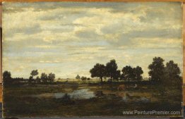 Paysage Paysage