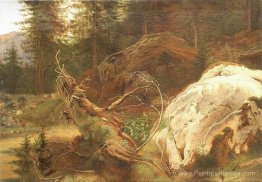 Pierres dans la forêt A Pierres dans la forêt A