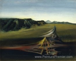 Paysage biologique Paysage biologique