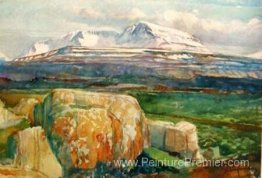 Scène de Fljótsdalsherað dans l'est de l'Islande Scène de Fljótsdalsherað dans l'est de l'Islande