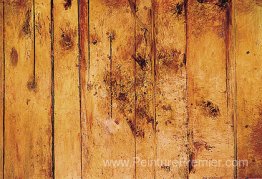 Forêt de jeunesse Forêt de jeunesse