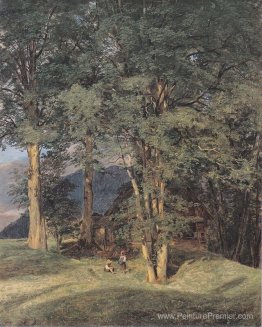 Maple Trees près de l'ischl Maple Trees près de l'ischl