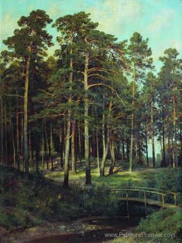 Pont dans la forêt Pont dans la forêt