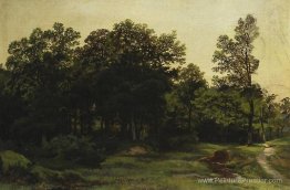 Forêt à feuilles caduques Forêt à feuilles caduques