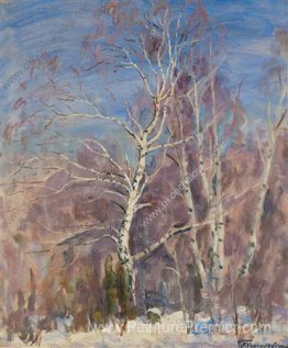 Bouleau dans la neige Bouleau dans la neige