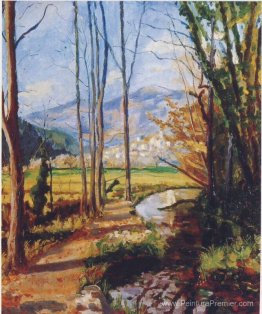 Vue sur la rivière Var Vue sur la rivière Var