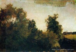 Arbres et buissons Arbres et buissons
