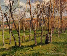 Prairie à Bazincourt Prairie à Bazincourt