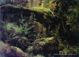 Des pierres dans la forêt. Valaam Des pierres dans la forêt. Valaam