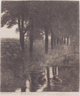 Truite étang Truite étang