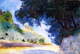 Paysage, oliviers, corfu Paysage, oliviers, corfu