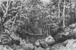 Sur le castel de montagne près d'Alushta Sur le castel de montagne près d'Alushta