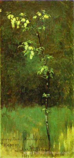 Un arbre en fleur Un arbre en fleur