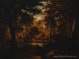 La piscine de fée La piscine de fée