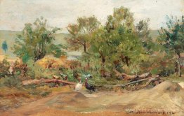 Dindes à Vlaici Dindes à Vlaici