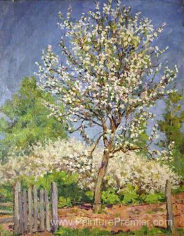 Pommier en fleurs Pommier en fleurs