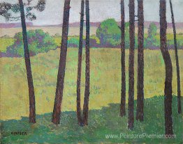 Vue des souches Vue des souches