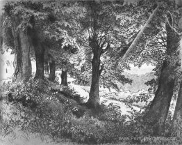 Soirée à Albano près de Rome Soirée à Albano près de Rome