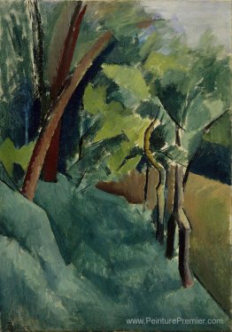 Paysage Paysage