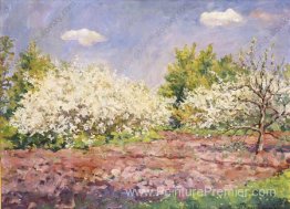 fleurs de cerisier fleurs de cerisier