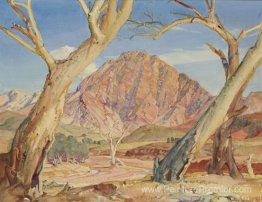 Gardien des gorges de brachina Gardien des gorges de brachina