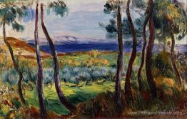 Pins à proximité de Cagnes Pins à proximité de Cagnes