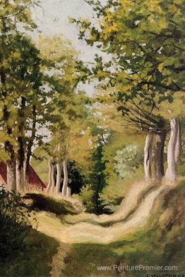 Broussailles Broussailles