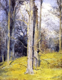 Hiver, Angleterre Hiver, Angleterre