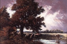 Étude pour le chêne rouge Étude pour le chêne rouge