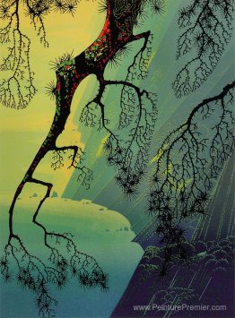 Brouillard Brouillard