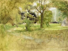Arbres dans un champ Arbres dans un champ