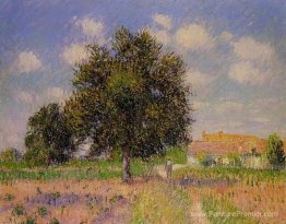 Pas de titre Pas de titre