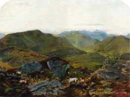 Paysage dans le Lake District Paysage dans le Lake District