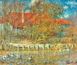 L'étang avec des canards en automne L'étang avec des canards en automne