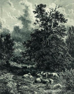 Troupeau de moutons sur le bord de la forêt Troupeau de moutons sur le bord de la forêt