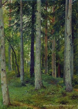 Forêt Forêt
