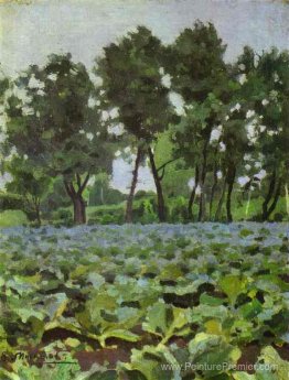 Champ de chou avec saules Champ de chou avec saules