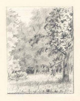 À Hayfields de Tarakanovka À Hayfields de Tarakanovka