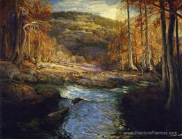 Stream de forêt (eaux d'amorçage du guadalupe) Stream de forêt (eaux d'amorçage du guadalupe)