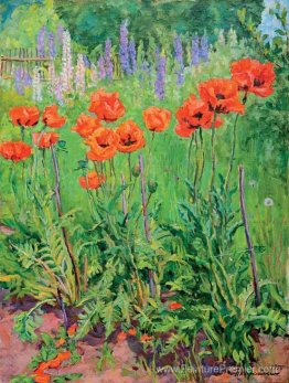 Coquelicots Coquelicots