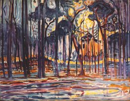 Woods près d'Oele Woods près d'Oele