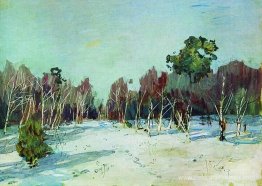Jardin enneigé. Jardin enneigé.