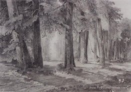 Dans le parc Dans le parc