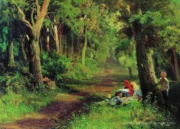 Route forestière Route forestière